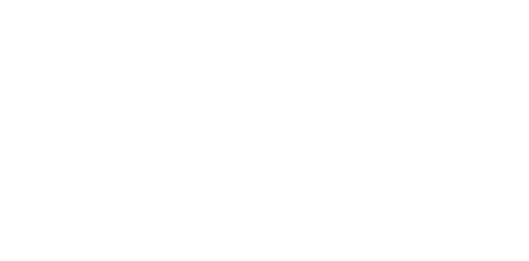 NYRVAULT